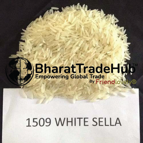 1509 White/Creamy Sella Basmati Rice